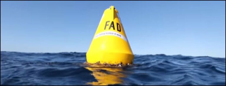 Fish Aggregating Device floating in the sea