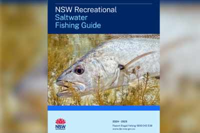 Saltwater Fishing book cover